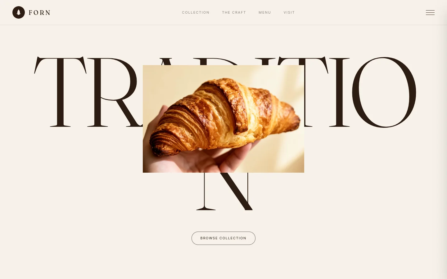 FORN website hero preview